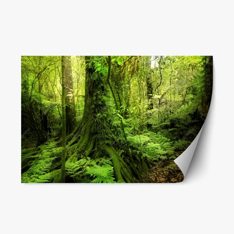 Adesivo riposizionabile foresta tropicale incantata