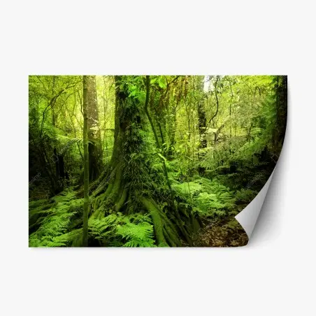 Adesivo riposizionabile foresta tropicale incantata • Wallissimo®