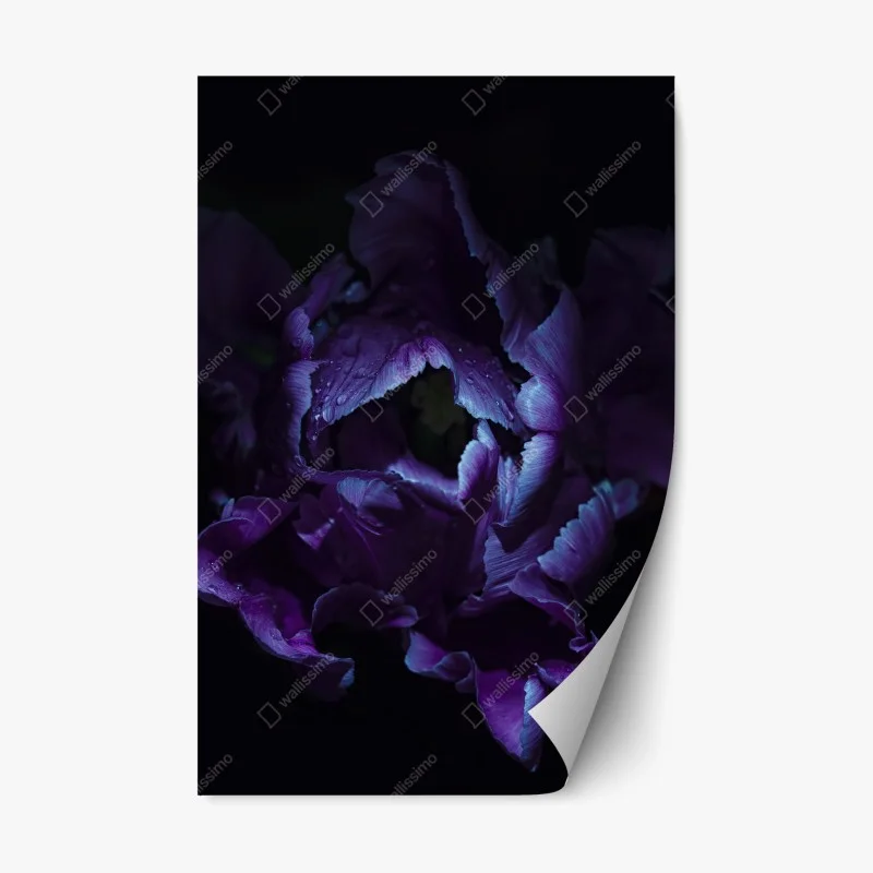 Adesivo riposizionabile tulipano viola in luce ultravioletta