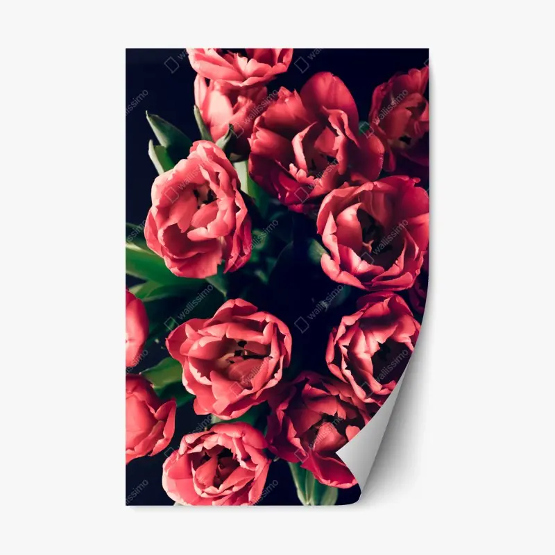 Adesivo riposizionabile mazzo di tulipani rosa su sfondo scuro