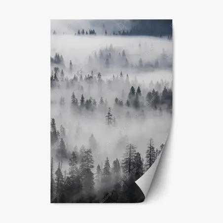 Adesivo riposizionabile foresta avvolta nella nebbia • Wallissimo®