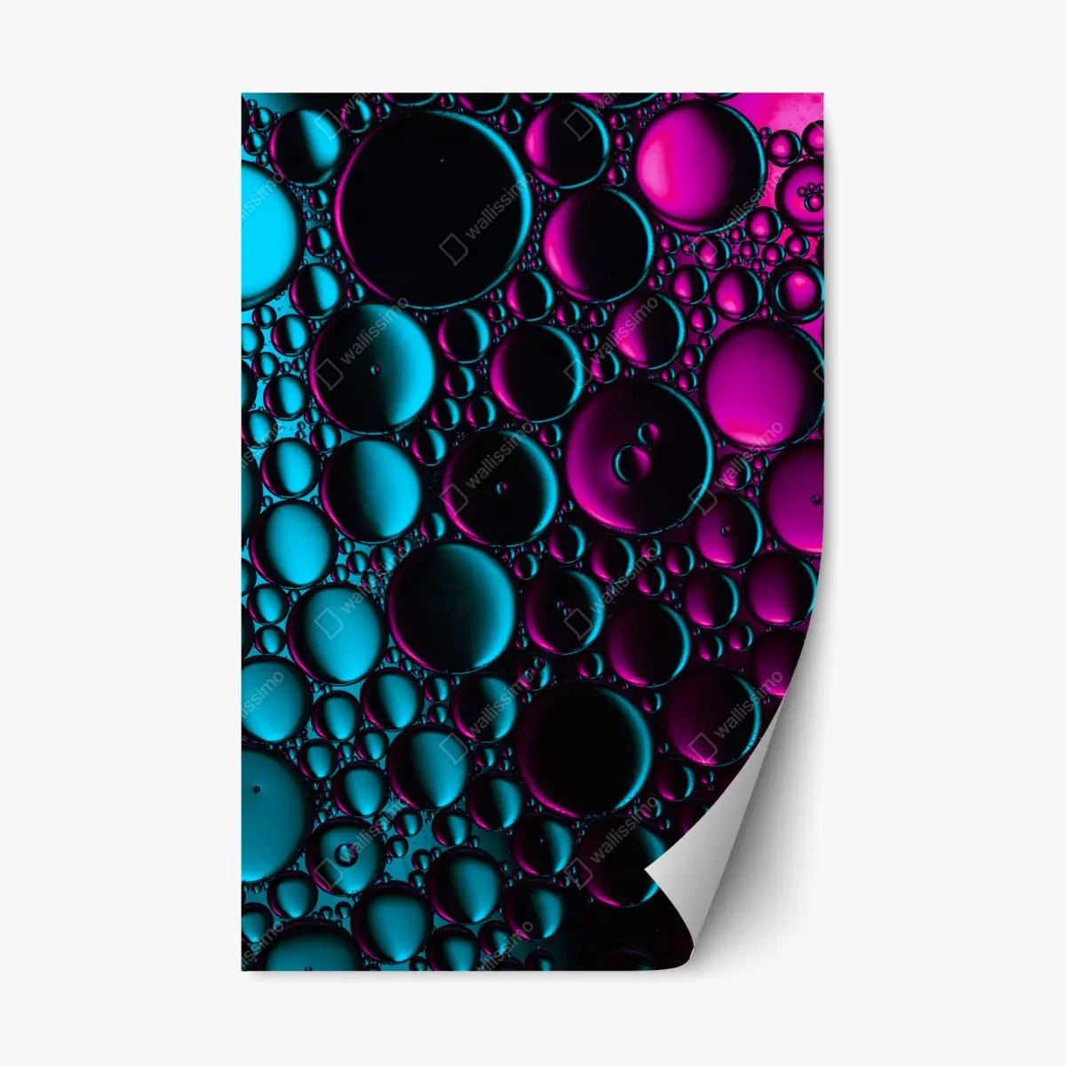 Adesivo riposizionabile bolle astratte in neon turchese e magenta • Wallissimo®