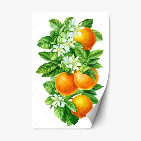 Adesivo riposizionabile ramo di arance e fiori in acquerello • Wallissimo®