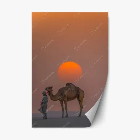 Adesivo riposizionabile tramonto nel deserto con cammello e custode • Wallissimo®