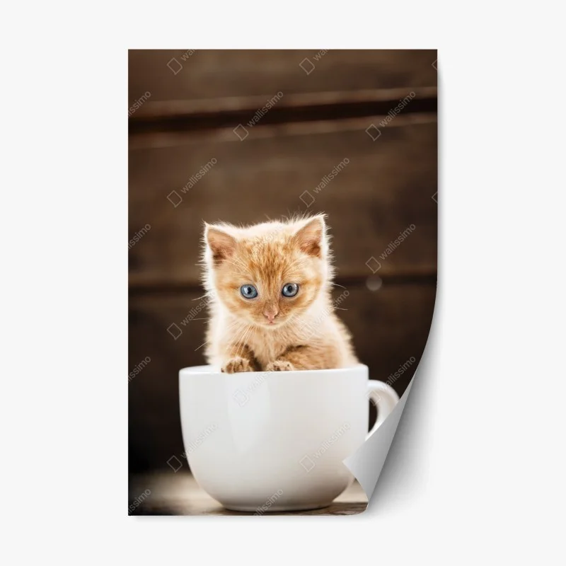 Adesivo riposizionabile gattino arancione nella tazza