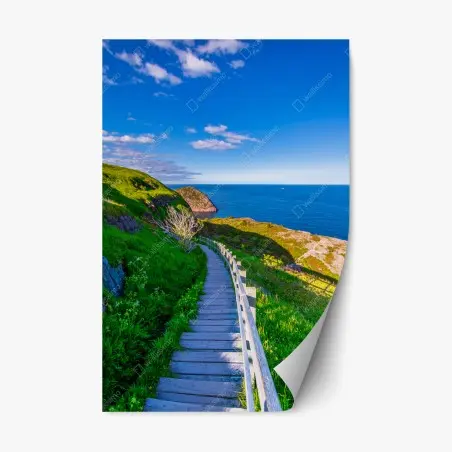 Adesivo riposizionabile sentiero verso l'oceano • Wallissimo®
