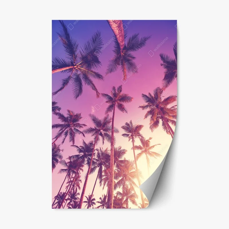 Adesivo riposizionabile sotto le palme al tramonto