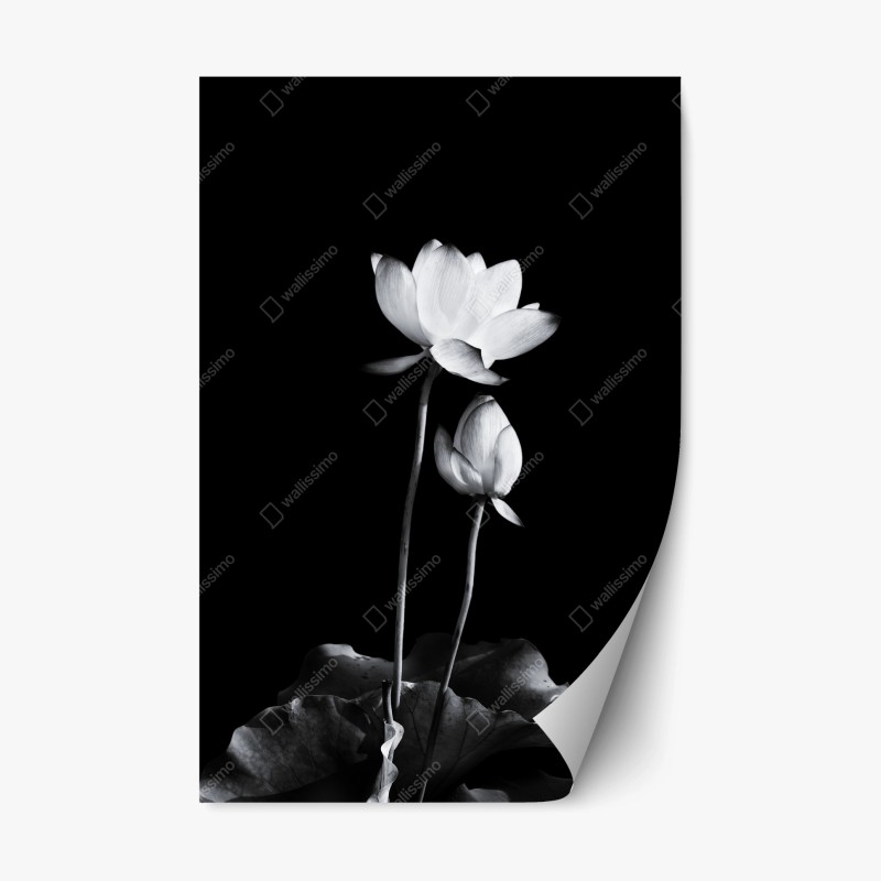 Adesivo riposizionabile fiore di loto minimalista in bianco e nero