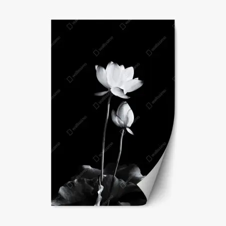 Adesivo riposizionabile fiore di loto minimalista in bianco e nero • Wallissimo®