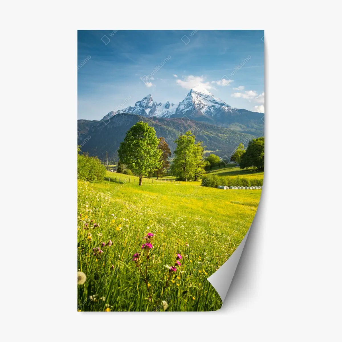 Adesivo riposizionabile panorama alpino primaverile con prati fioriti • Wallissimo®