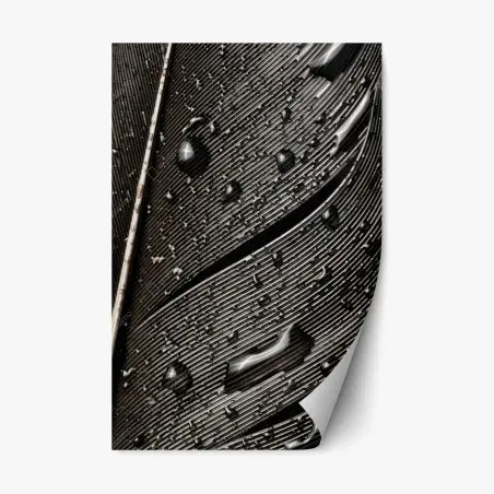 Adesivo riposizionabile dettaglio di piuma bagnata in bianco e nero • Wallissimo®