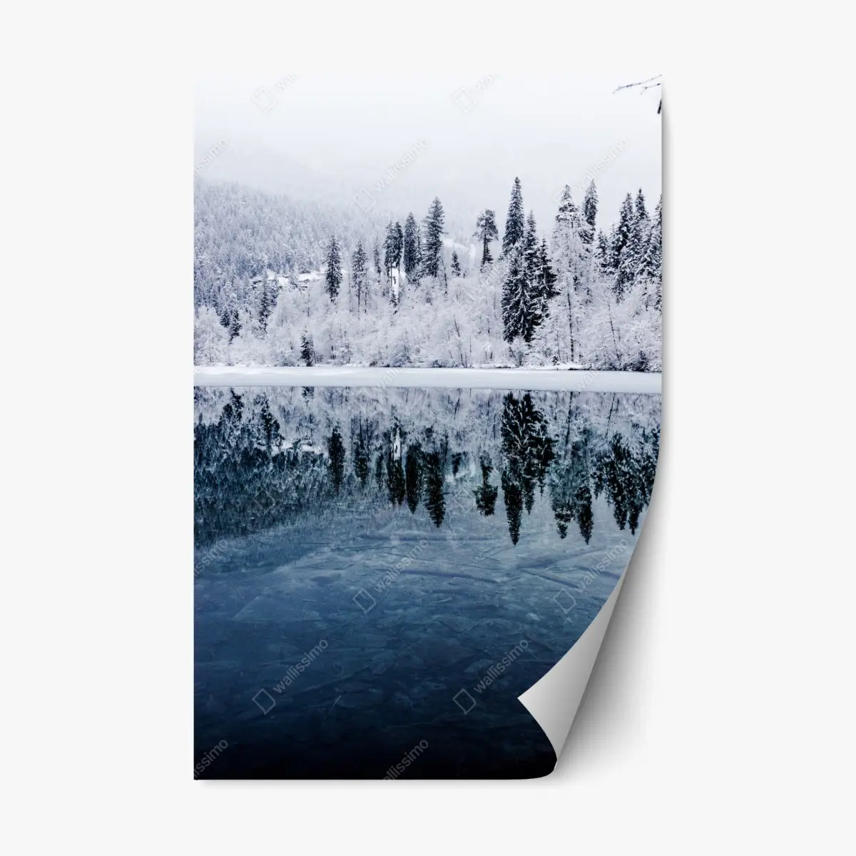 Adesivo riposizionabile riflessi di neve sul lago • Wallissimo®