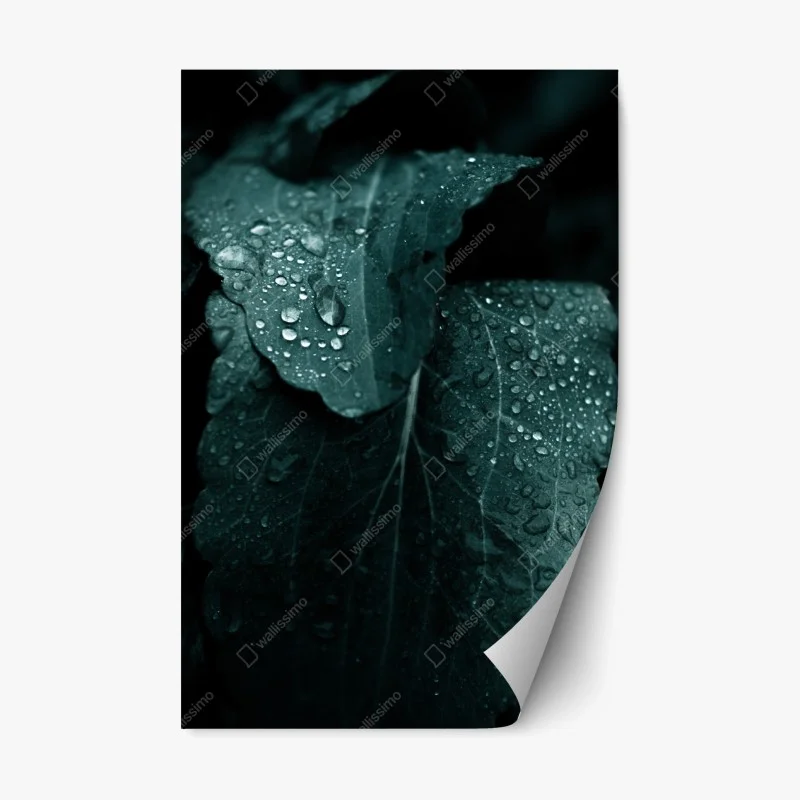 Adesivo riposizionabile dettaglio botanico: foglia con gocce