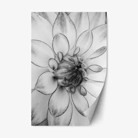 Adesivo riposizionabile eleganza floreale in bianco e nero • Wallissimo®