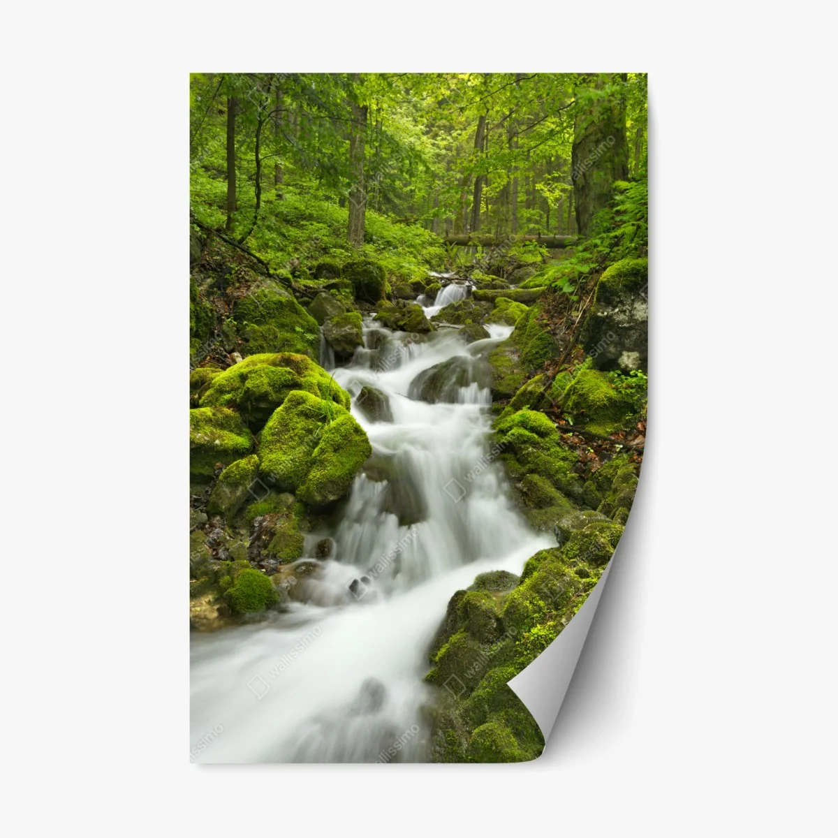 Adesivo riposizionabile cascata di smeraldo nella foresta di Slovenský Raj • Wallissimo® Adesivo riposizionabile cascata di smeraldo nella foresta di Slovenský Raj • Wallissimo®