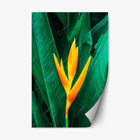 Adesivo riposizionabile eleganza tropicale: fiore giallo su foglie verdi • Wallissimo®