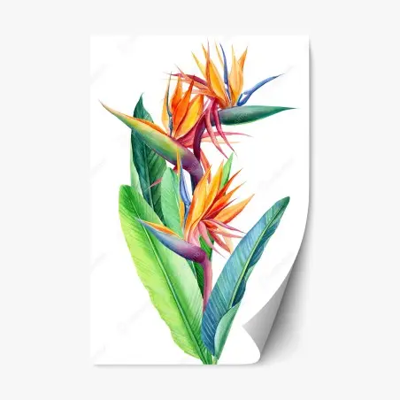 Adesivo riposizionabile uccello del paradiso: eleganza tropicale • Wallissimo®