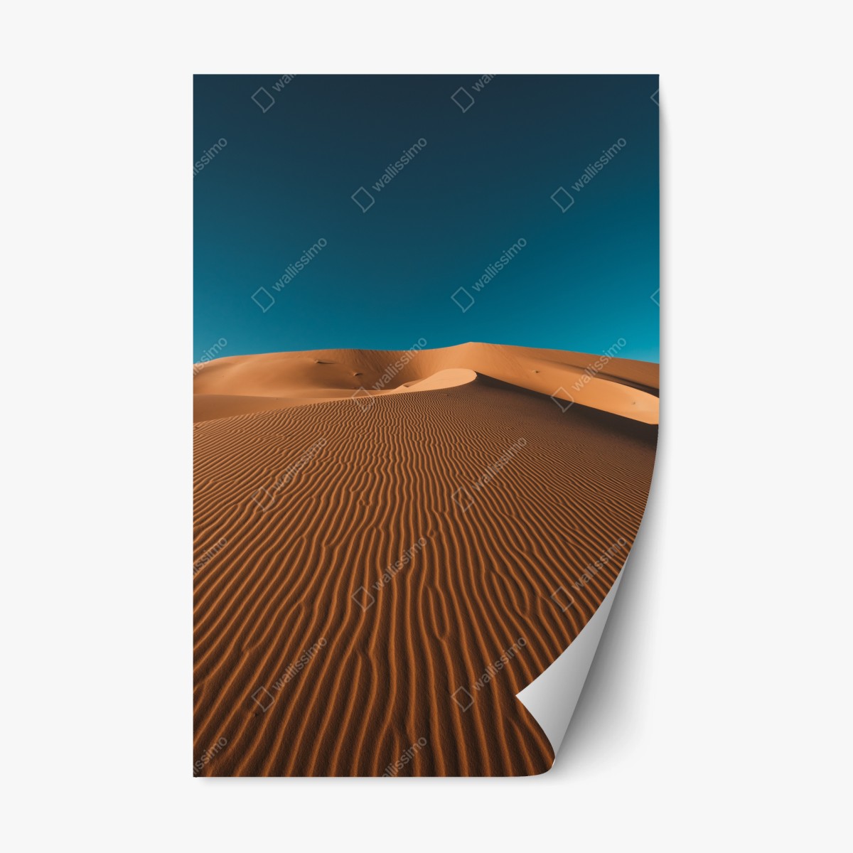 Adesivo riposizionabile dune dorate e cielo profondo • Wallissimo®