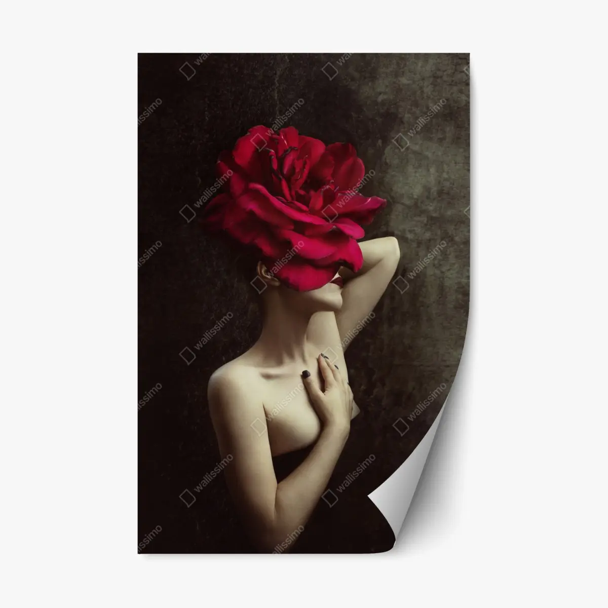 Adesivo riposizionabile donna con rosa gigante e sensualità moderna • Wallissimo®