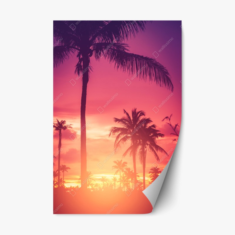 Adesivo riposizionabile tramonto tropicale in silhouette