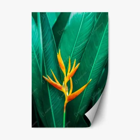 Adesivo riposizionabile fiore tropicale su fogliame verde intenso • Wallissimo®