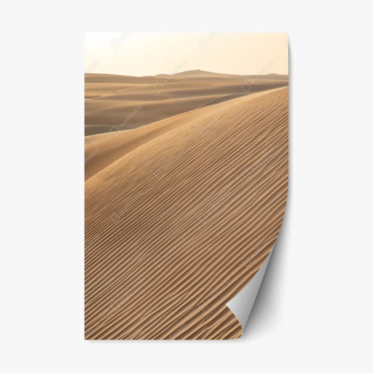 Adesivo riposizionabile dune dorate: texture del deserto • Wallissimo®