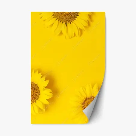 Adesivo riposizionabile girasoli su sfondo giallo brillante • Wallissimo®
