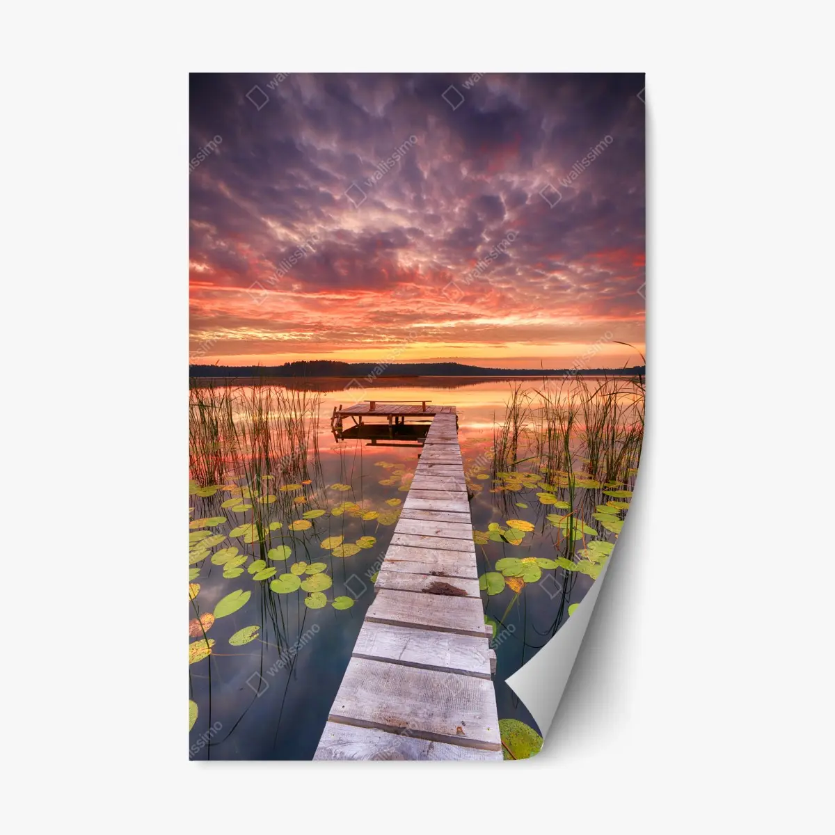 Adesivo riposizionabile alba estiva sul lago con molo di legno • Wallissimo®