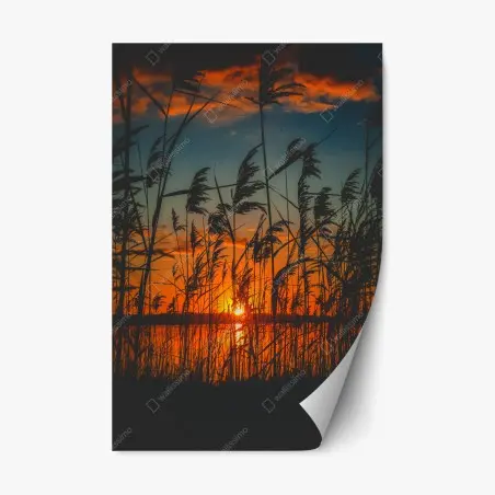 Adesivo riposizionabile tramonto sulle rive: silhouette di canne al vento • Wallissimo®