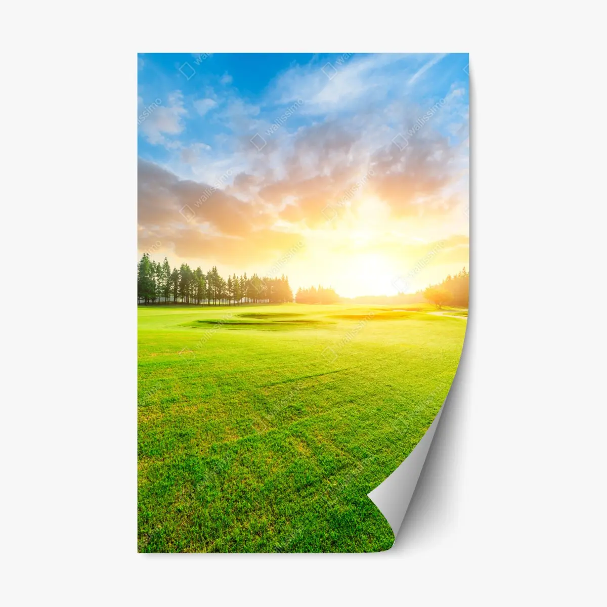 Adesivo riposizionabile tramonto sul campo verde • Wallissimo®