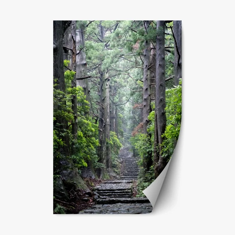 Adesivo riposizionabile sentiero silenzioso nella foresta secolare