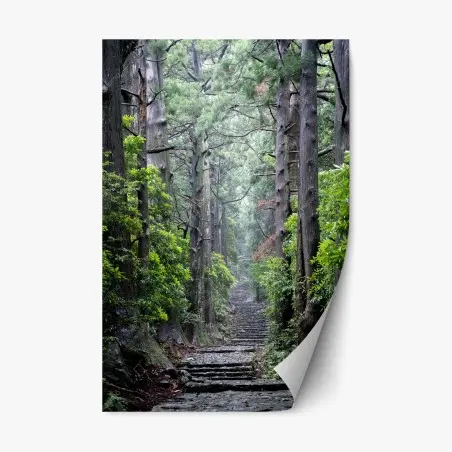 Adesivo riposizionabile sentiero silenzioso nella foresta secolare • Wallissimo®