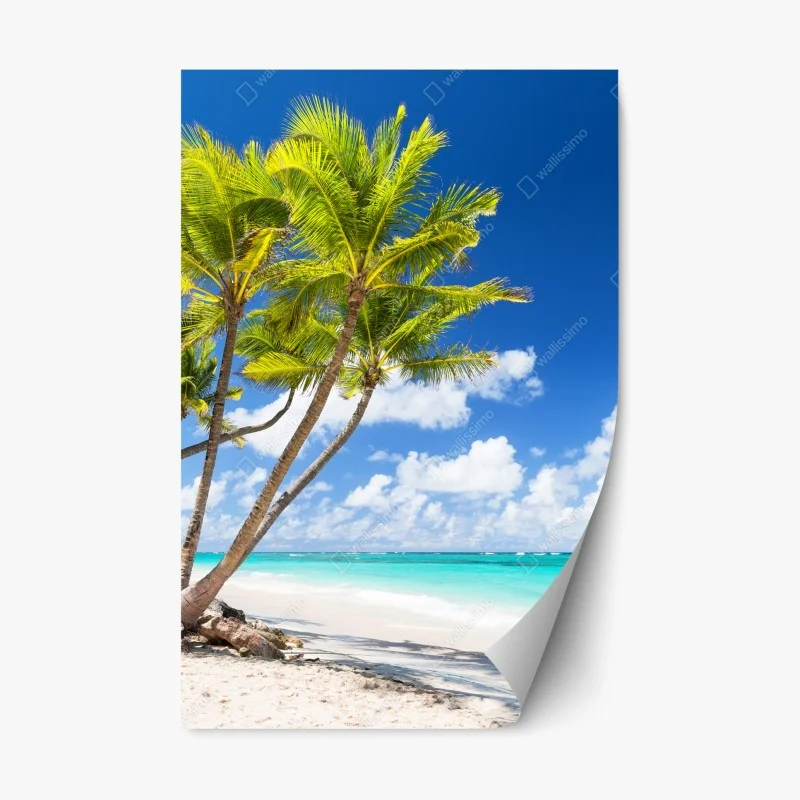 Adesivo riposizionabile paradiso tropicale: palme su spiaggia bianca
