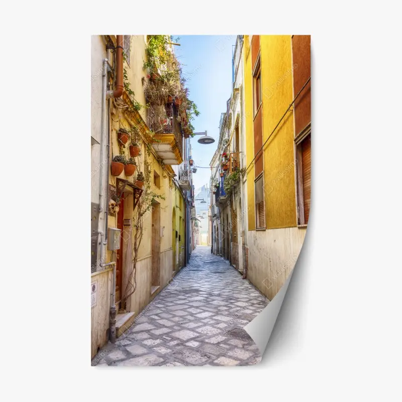 Adesivo riposizionabile vicolo fiorito nel centro storico di Brindisi