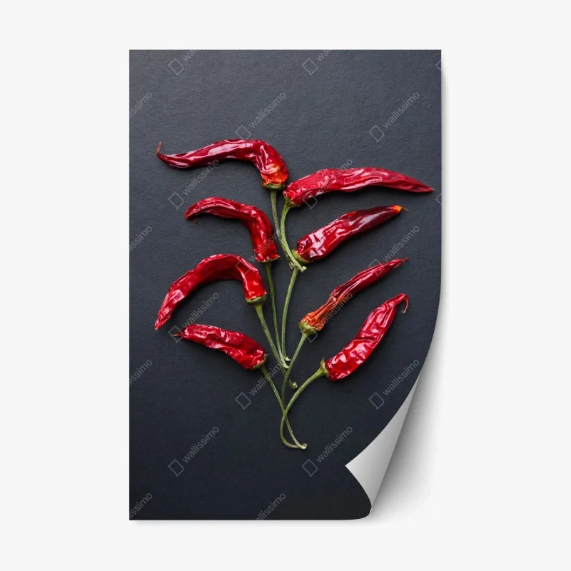 Adesivo riposizionabile albero di peperoncini rossi su sfondo nero
