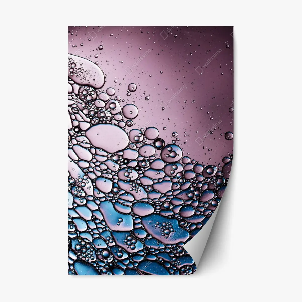 Adesivo riposizionabile composizione di bolle astratte in rosa e blu • Wallissimo®