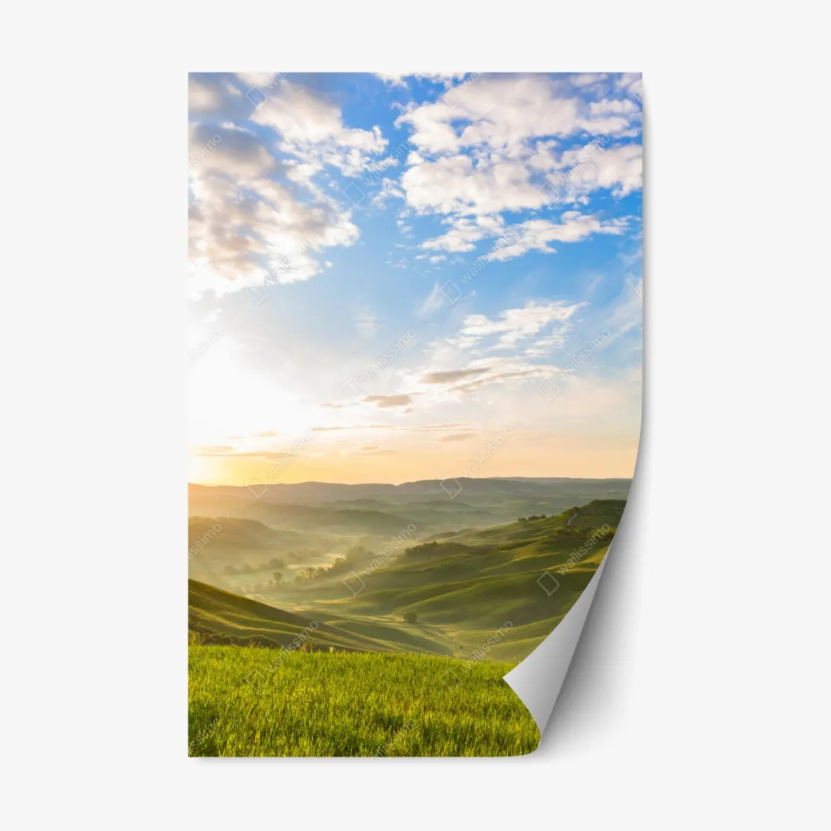 Adesivo riposizionabile alba dorata sulle colline verdi • Wallissimo®