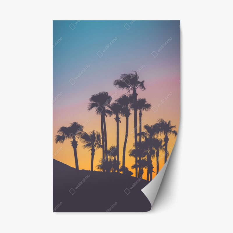 Adesivo riposizionabile tramonto tropicale in silhouette