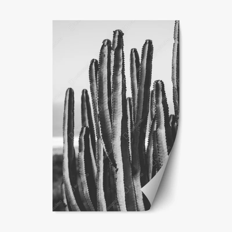 Adesivo riposizionabile cactus in bianco e nero dettaglio verticale