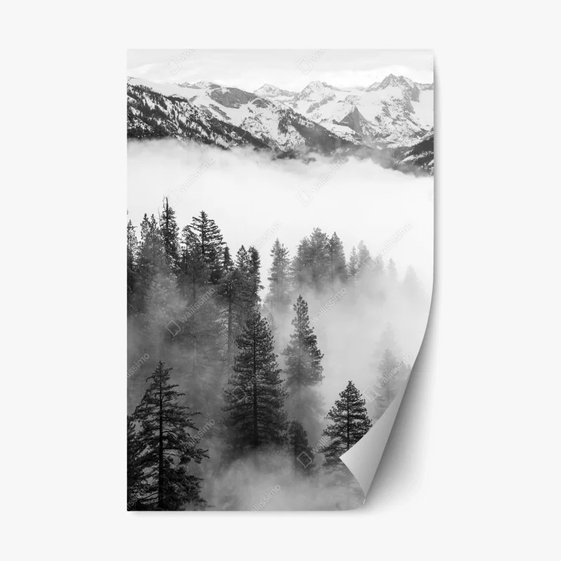 Adesivo riposizionabile nebbia tra le sequoie del Giant Forest, Sierra Nevada
