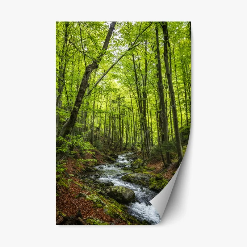 Adesivo riposizionabile torrente nel bosco primaverile