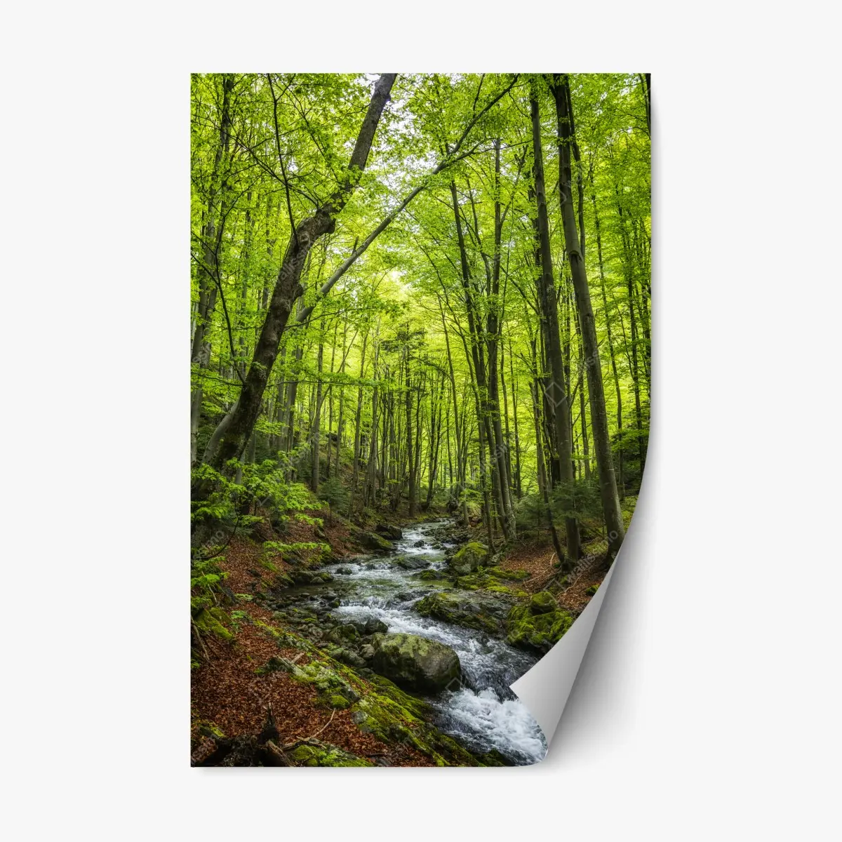 Adesivo riposizionabile torrente nel bosco primaverile • Wallissimo®