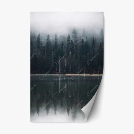 Adesivo riposizionabile riflessi nella foresta nebbiosa • Wallissimo®