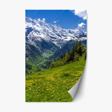 Adesivo riposizionabile panorama alpino primaverile con prati fioriti • Wallissimo®