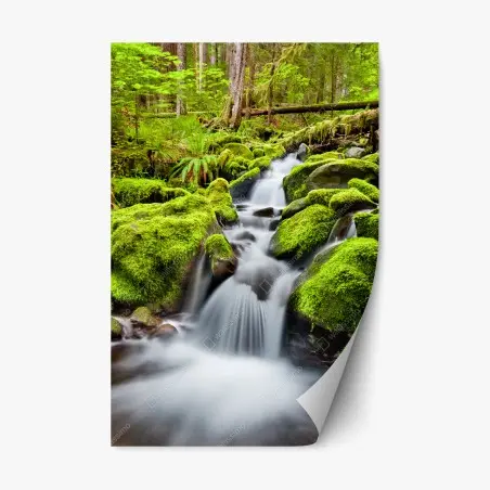 Adesivo riposizionabile paesaggio incantato della cascata di Sol Duc • Wallissimo®