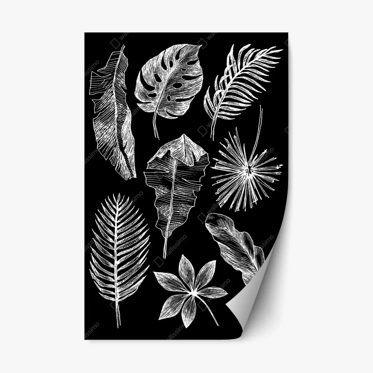 Adesivo riposizionabile fogliame tropicale a gessetto su sfondo nero • Wallissimo® Adesivo riposizionabile fogliame tropicale a gessetto su sfondo nero • Wallissimo®