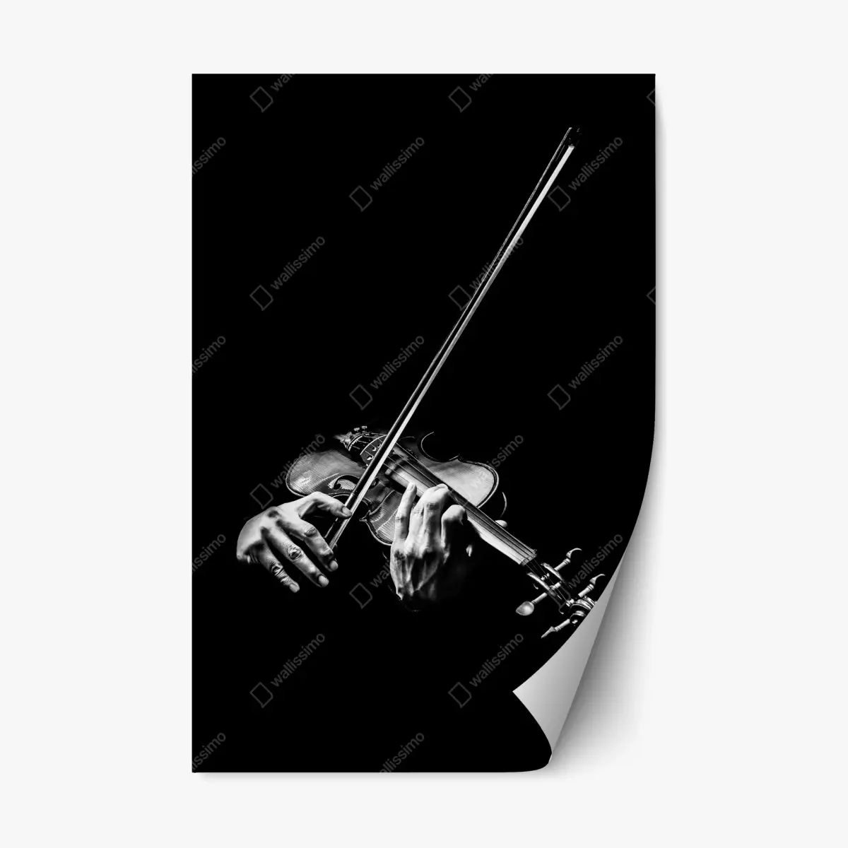 Adesivo riposizionabile mani al violino in controluce • Wallissimo®