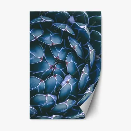 Adesivo riposizionabile geometria botanica di agave • Wallissimo®