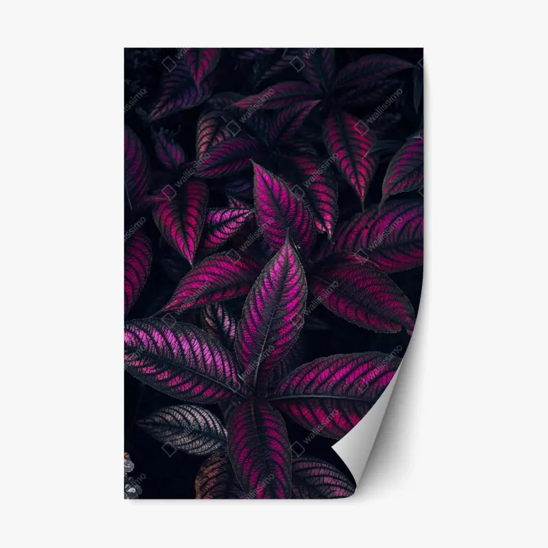 Adesivo riposizionabile motivo botanico con foglie magenta