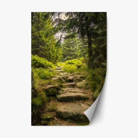 Adesivo riposizionabile sentiero roccioso nel bosco • Wallissimo®